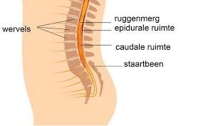 Caudale injectie