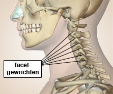 Facetgewrichten