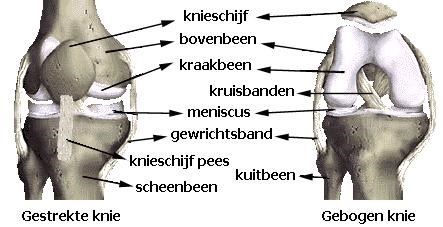 Kniegewricht