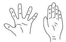 illustratie van oefeningen met de hand en vingers deel 2