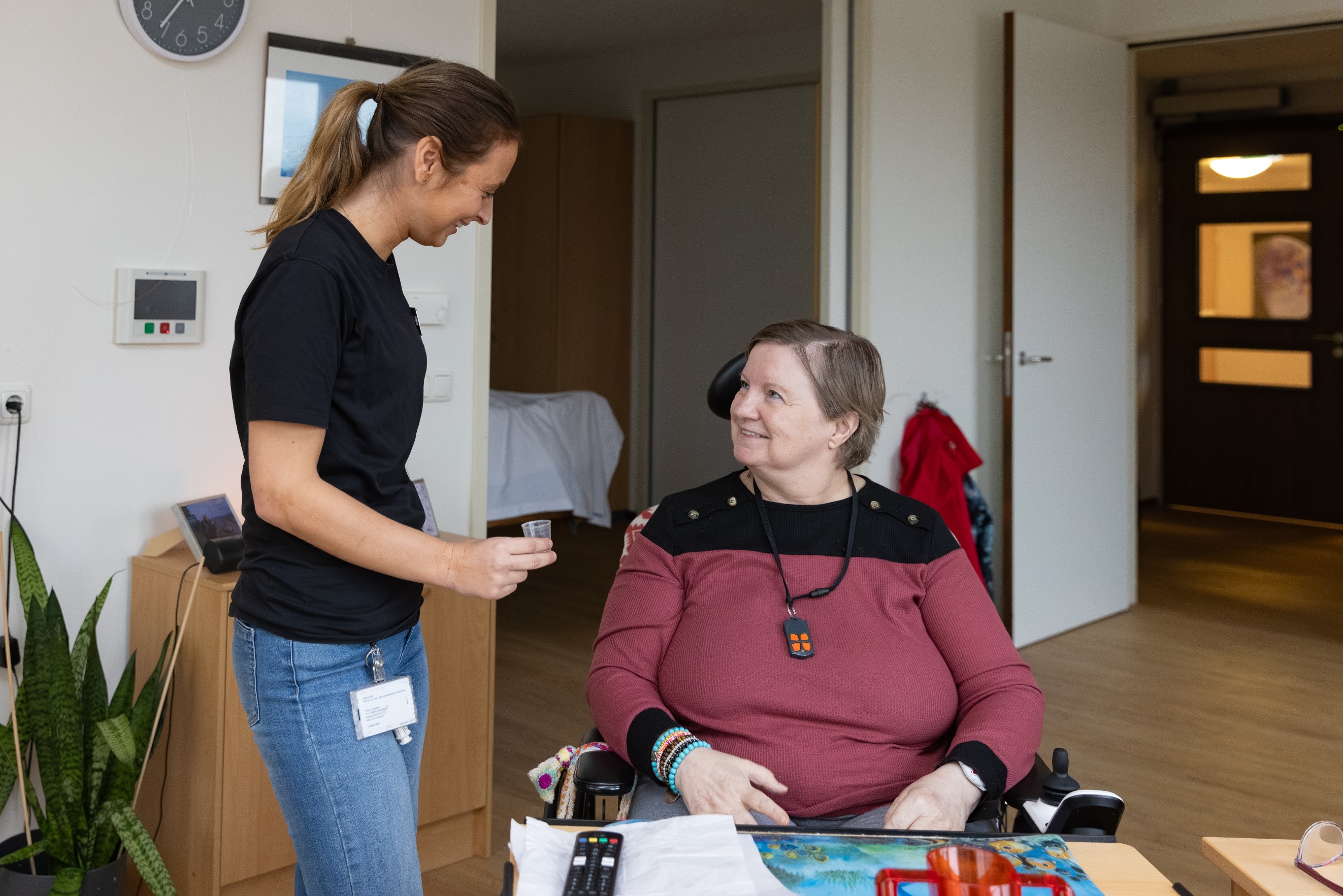 20251127 Lingesteyn 1 40Cm HR 42 (1)